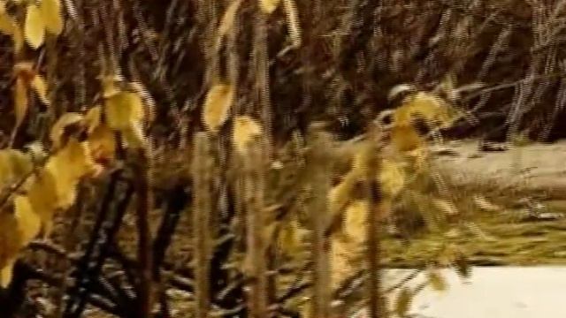 Осеннее настроение смотреть онлайн