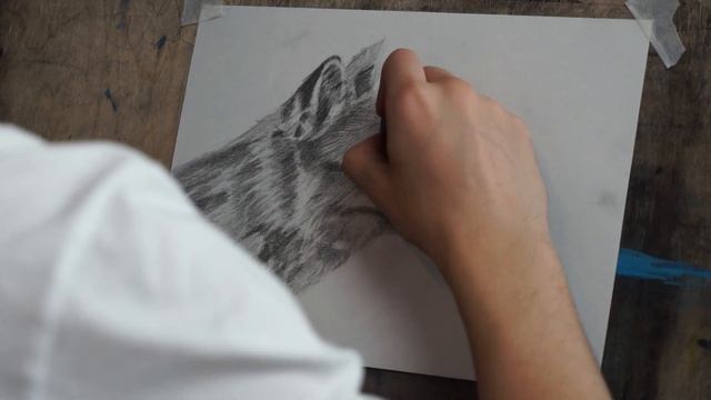 Работа над ошибками. Реалистичный рисунок лисы смотреть онлайн