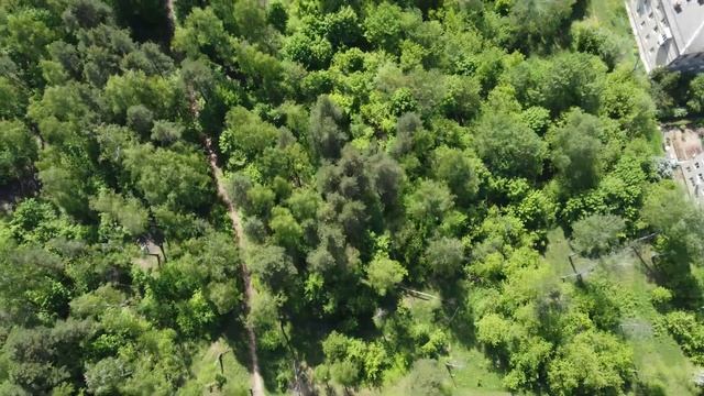 Красковский лес с высоты птичьего полёта смотреть онлайн