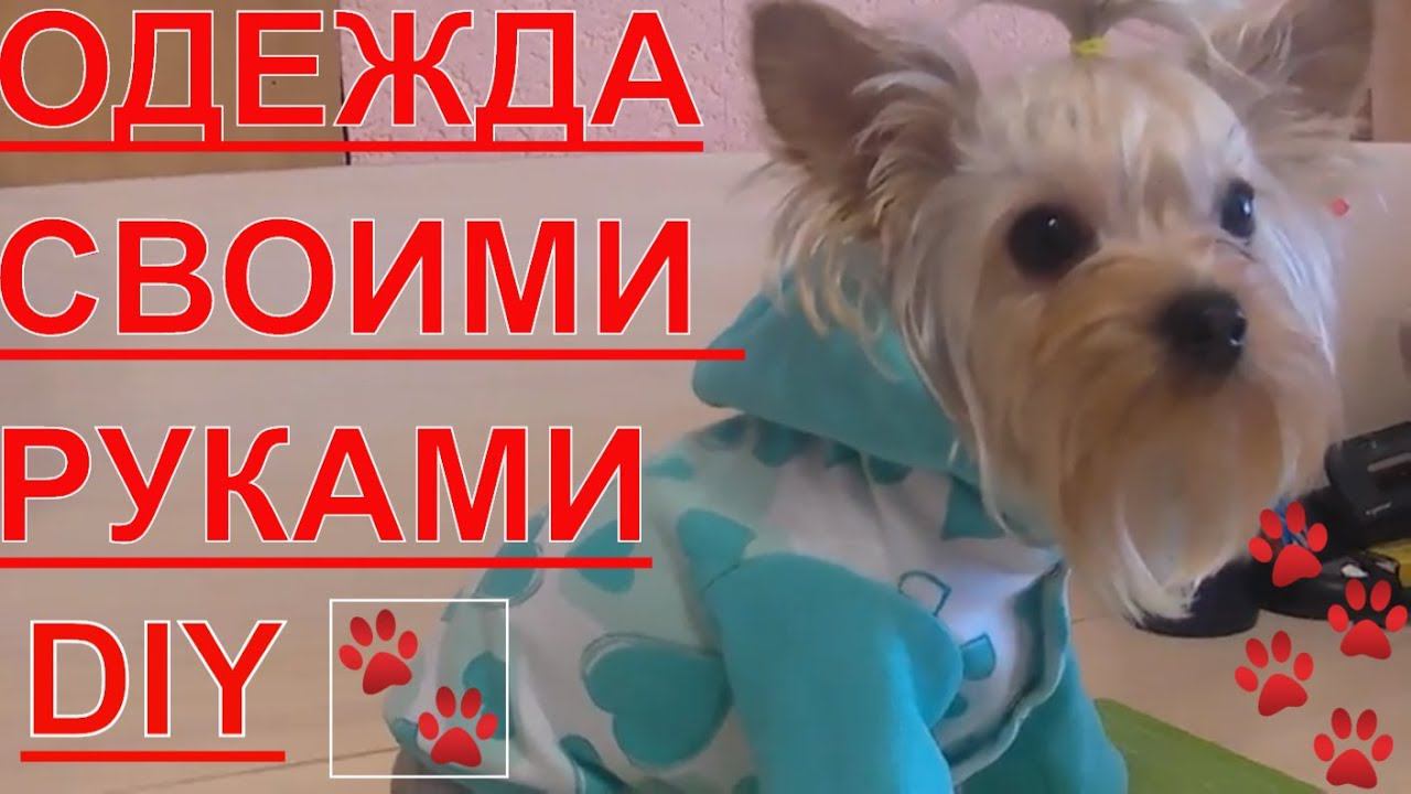 Одежда для собак. DIY. Своими руками.Часть 1 смотреть онлайн