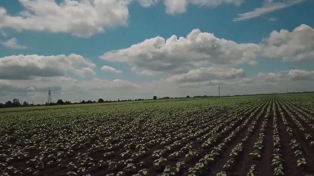 Обзор модернизированной сеялки Kverneland Optima