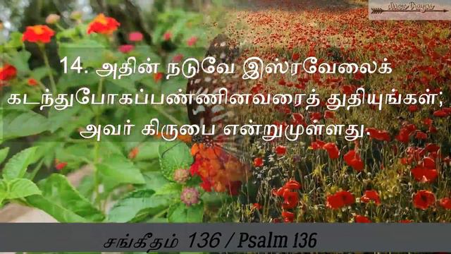 Psalm for the day || சங்கீதம் 136 || Psalm 136 || Tamil Bible смотреть онлайн