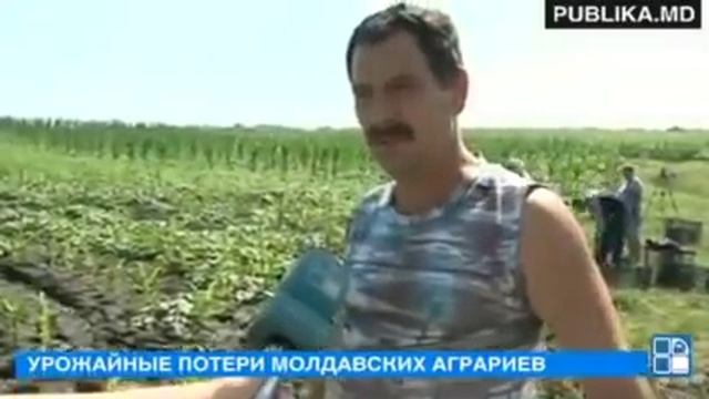Из-за российского эмбарго фермеры оставляют урожай гнить в поле смотреть онлайн