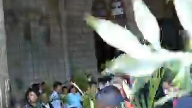 Burro rehusando entrar a la Basilica del Voto Nacional en Quito durante el Domingo de Ramos 2013 смотреть онлайн