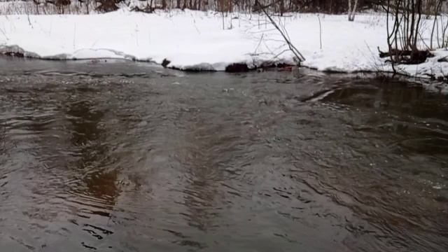 Пленэр 25.03.2023