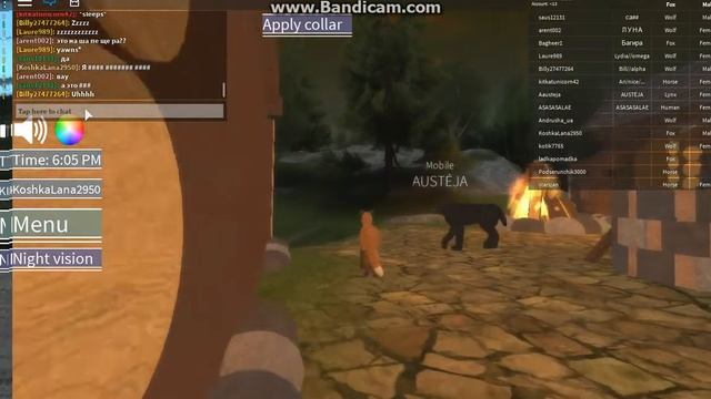 ИГРАЮ В РОБЛОКС Crossed Paws/ИГРАЕМ ЗА ЛИСУ смотреть онлайн