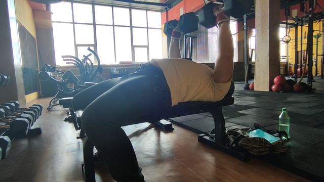 Д 3: Жим гантелей на горизонтали с паузой (2 сек.) внизу, 22 кг, 3 подход. смотреть онлайн