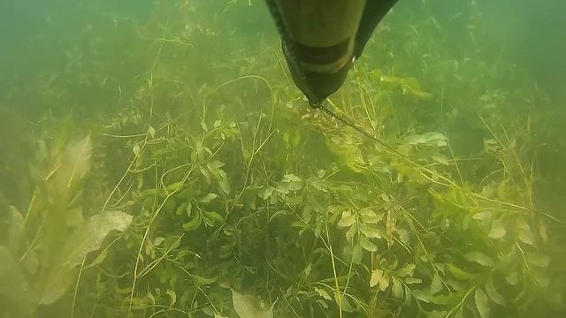 Fishing With Harpoon #3 смотреть онлайн