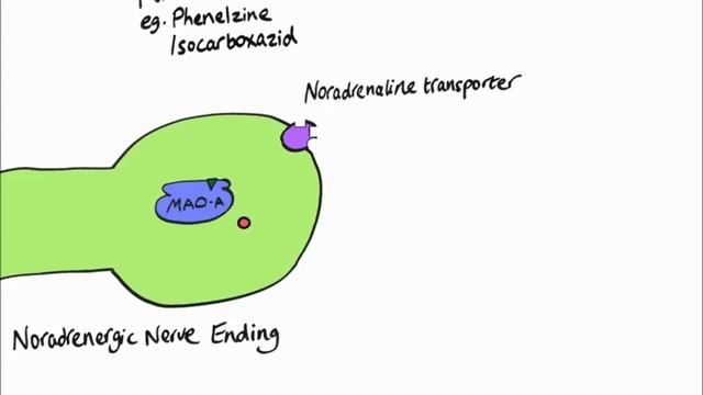 Antidepressants Pharmacology - Soton Brain Hub.mp4 смотреть онлайн