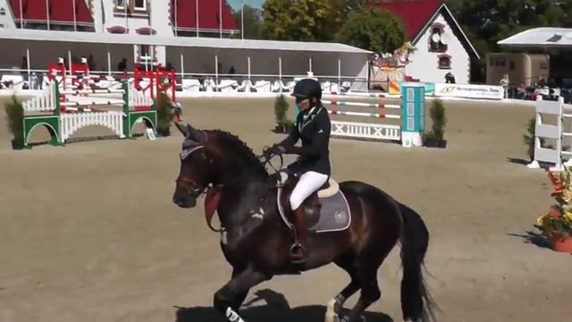 Kovboy, CSI 4*, 145 cm смотреть онлайн