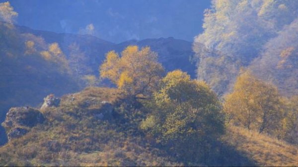 Палитра Кочхар Таш. Бедык.