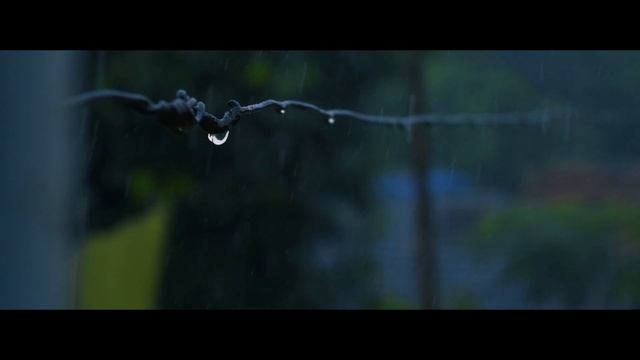 Rain | Nikon Z50 смотреть онлайн