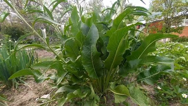 Кинофакты и Теории