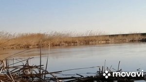 Рыбалка мечты, ловля язя на поплавок