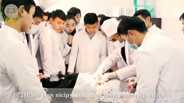 Туркестан жоғарғы көп салалы аграрлық колледжі смотреть онлайн