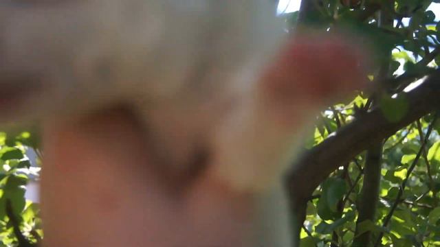 Привет, Мир!! смотреть онлайн