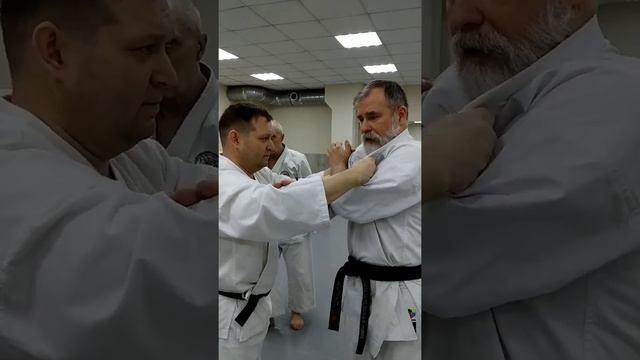Meikyo kata with Shihan Dormenko Andrey 8 Dan ISKF смотреть онлайн