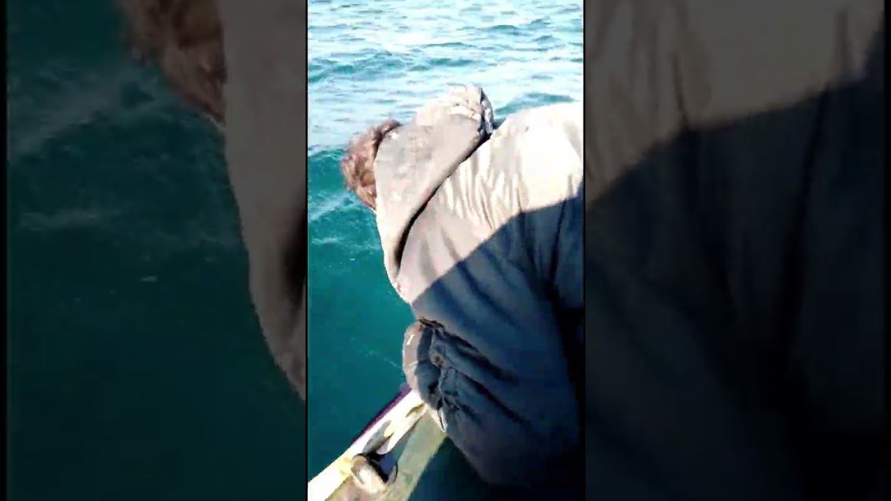 #shorts #русскиймеханик укачало парня он не знал до этого что так бывает смотреть онлайн