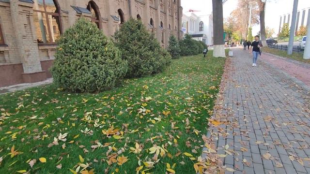 Ташкент.Авиация техникум бурынгы.Центр.#Алматы.#Ташкент.# Нукус. смотреть онлайн