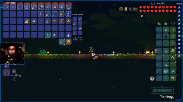 ARMOR MASTER | Terraria Epic Modpack смотреть онлайн