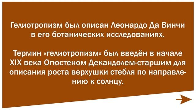 Гелиотропизм. Что это? смотреть онлайн