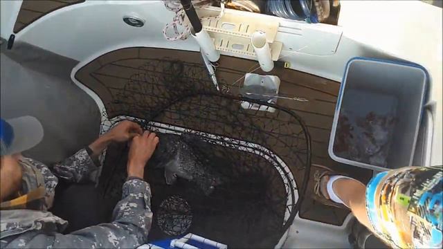 Темный окунь на слоу джиг. Dark Seabass in Japanese sea. смотреть онлайн