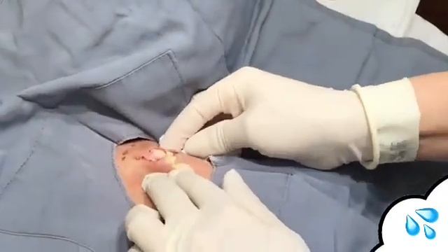 БОЛЬШИЕ ЖИРОВИКИ № 2 смотреть онлайн