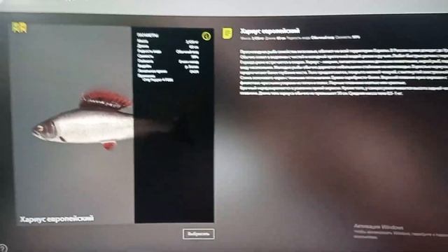 Трофейный хариус на реке Белой. Русская рыбалка 4. 24.05.23 смотреть онлайн