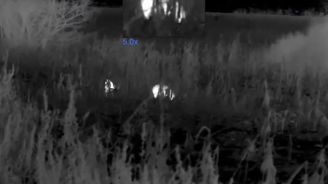 Pulsar Merger Xp 50 Lrf смотреть онлайн