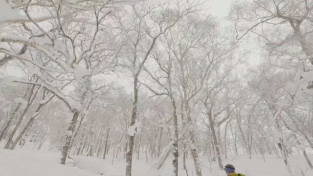 STORM SKIING MT YOTEI; in Niseko, ニセコ Hokkaido смотреть онлайн