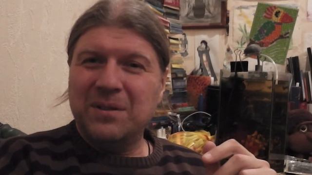 НЛП. Примеры использования НЛП в обычной жизни