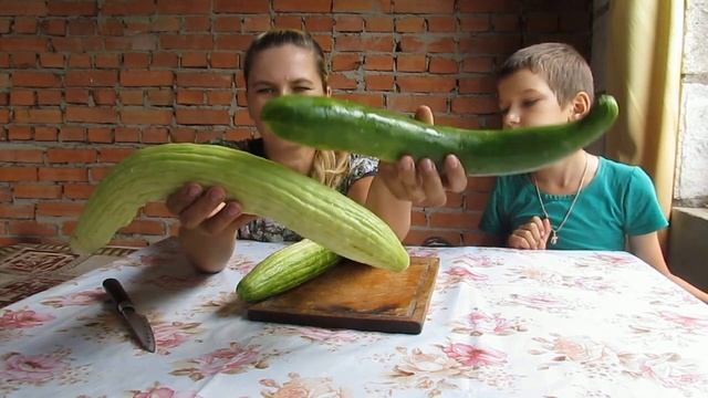 Огород , дегустация армянского огурца . как цветёт пепино . смотреть онлайн