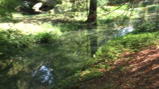 УМАНЬ / СОФИЕВСКИЙ ПАРК / ИНТЕРЕСНЫЕ ФАКТЫ / ЭКСКУРСИЯ смотреть онлайн