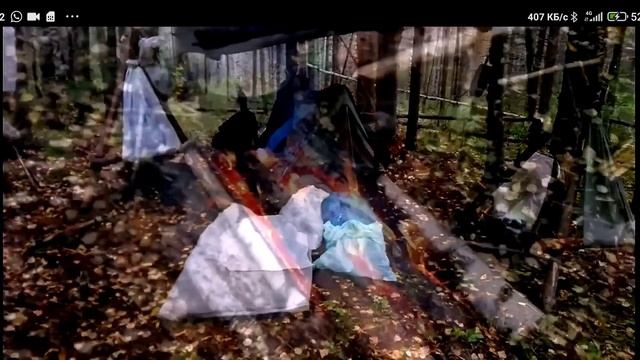 Ничего о строительстве избушки. Жизнь в тайге. Стоянка.Палатка. Испытание молодой сибирской лайки. смотреть онлайн