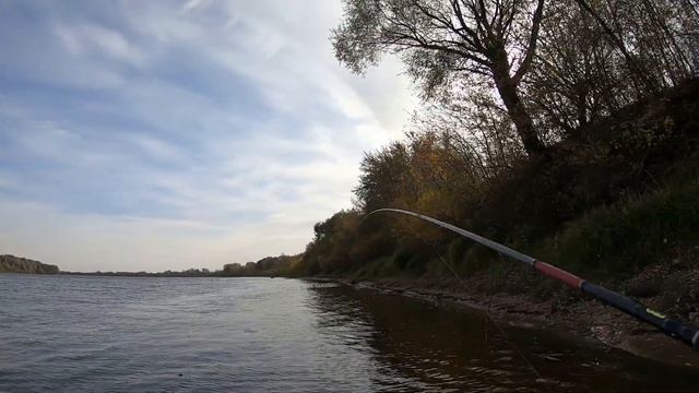 ОКУНЬ,БЕРШ НА ОТВОДНОЙ ПОВОДОК.РЫБАЛКА НА ОКЕ Рыбалка на спиннинг смотреть онлайн