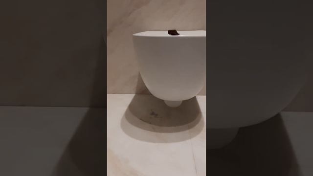 Сенсорный смеситель и сенсорная кнопка слива унитаза.Установка в сан.узле. #сантехника смотреть онлайн