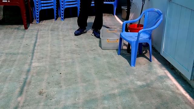 2016 Вьетнам Шоу змей