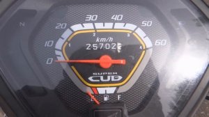 Хонда Супер Каб honda cub