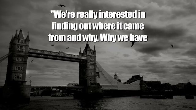 Redheads - Where'd They Come From? смотреть онлайн