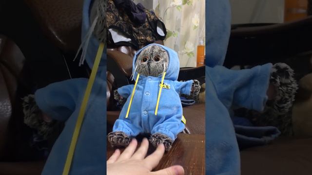 Кот Басик❤️ смотреть онлайн