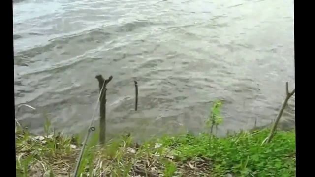 Ловля рыбы пенопласт смотреть онлайн