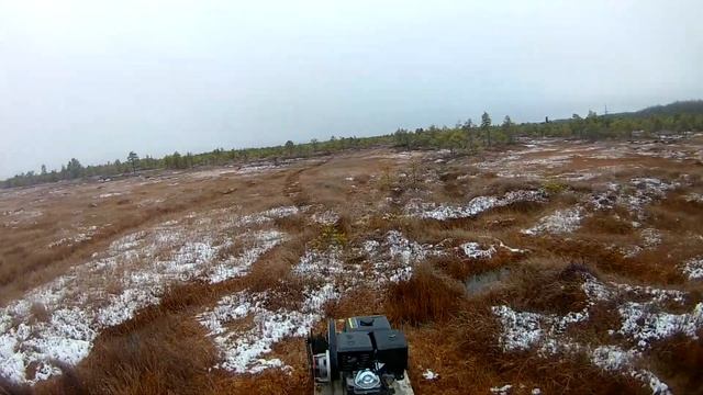 с болота смотреть онлайн