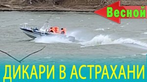 ДИКАРИ в АСТРАХАНИ весной и Почему я больше не поеду в Астрахань летом
