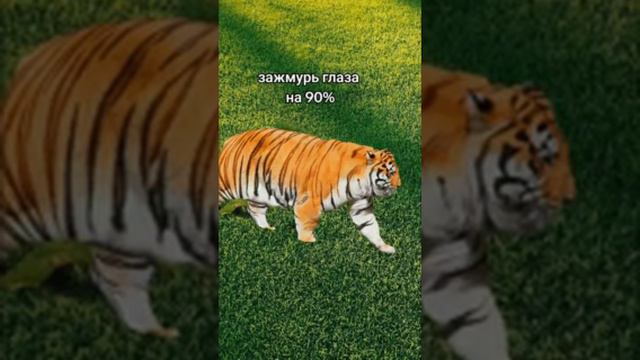 Ассоциативное мышление.mp4