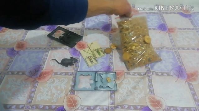 КАК ПРАВИЛЬНО УСТАНОВИТЬ МЫШЕЛОВКУ 2019 смотреть онлайн