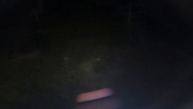 Putting foxes to bed! смотреть онлайн
