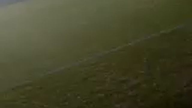 Cardiff City v Bristol City celebration afta da 2nd goal смотреть онлайн