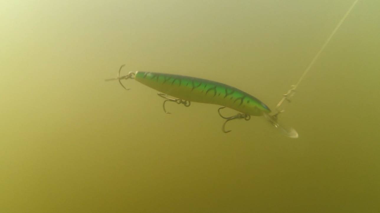 Река Ахтуба АПРЕЛЬ 2019, (работа приманок под водой). Ловля судака весной, троллинг. База левада