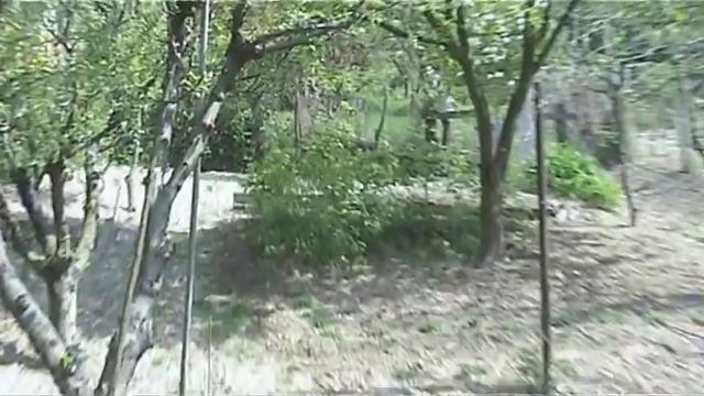 Sony DCR-TRV270E video test смотреть онлайн