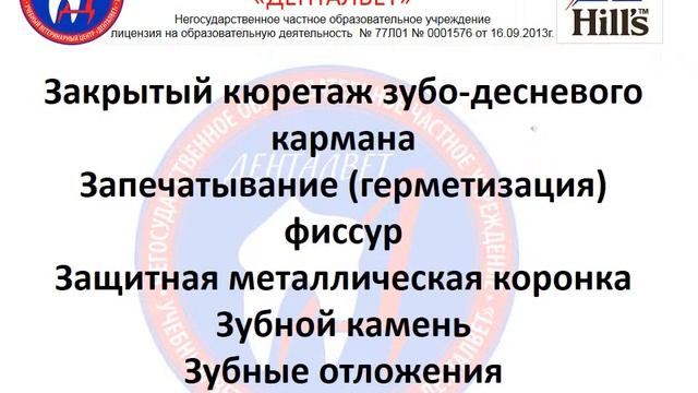 1.5 Модуль заключение смотреть онлайн